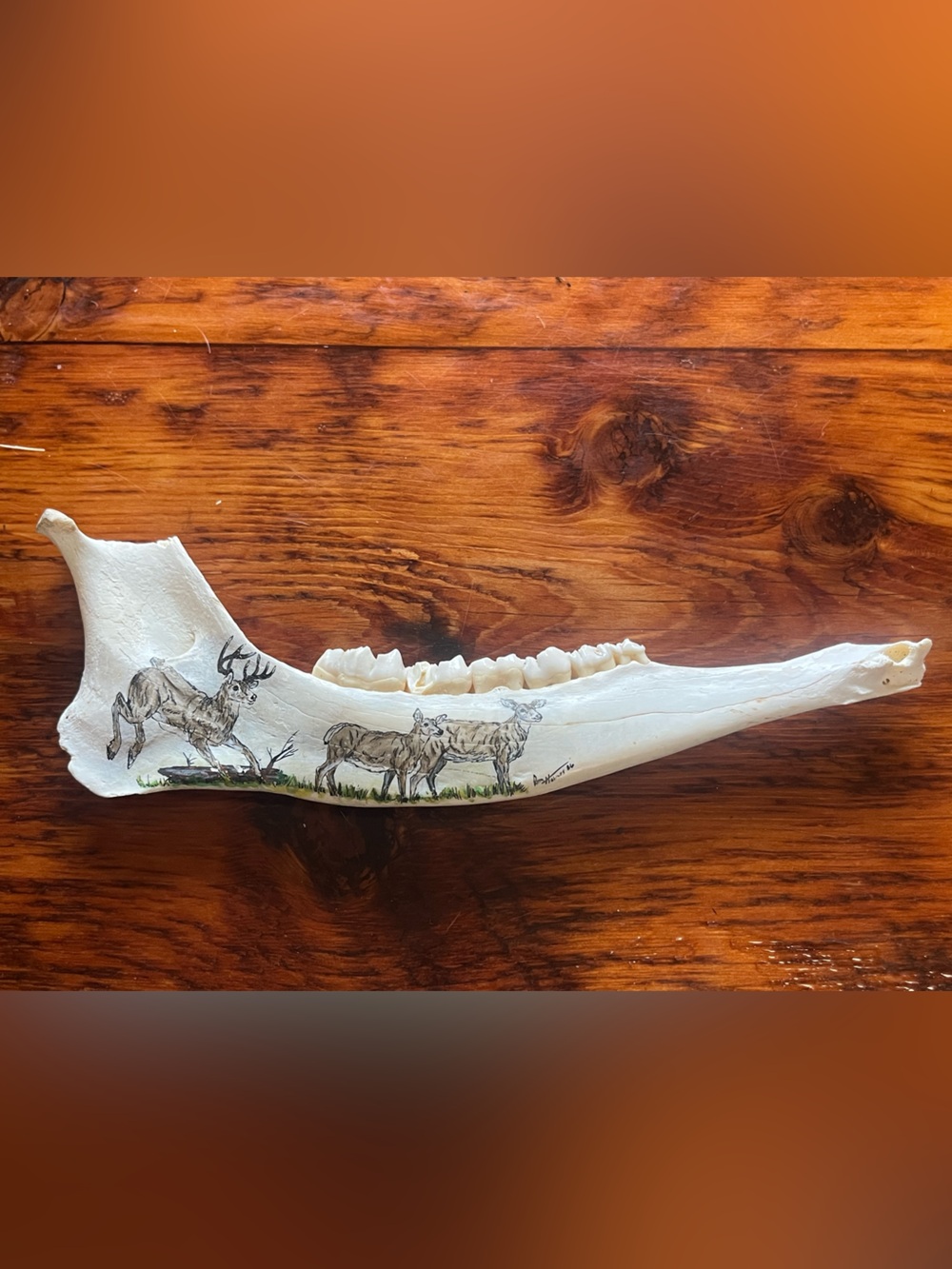 Hand-Painted White Deer Jawbone Wall Art
